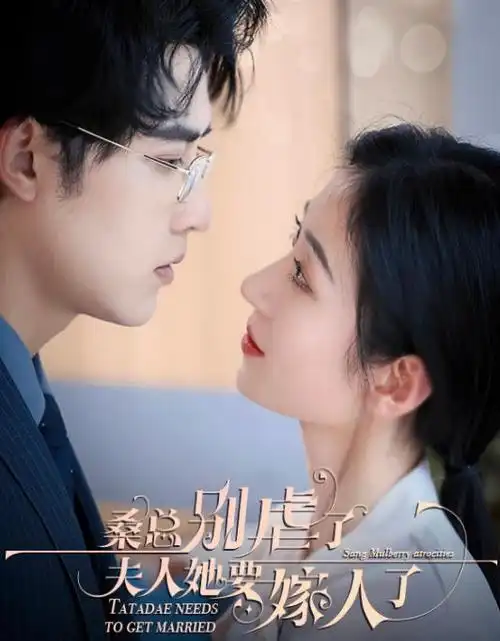 长夜回声剧集在线观看